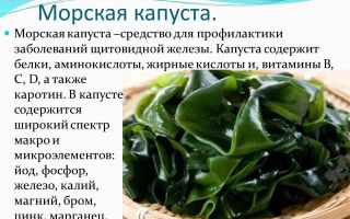 Какво е полезно водорасли, съдържание на калории