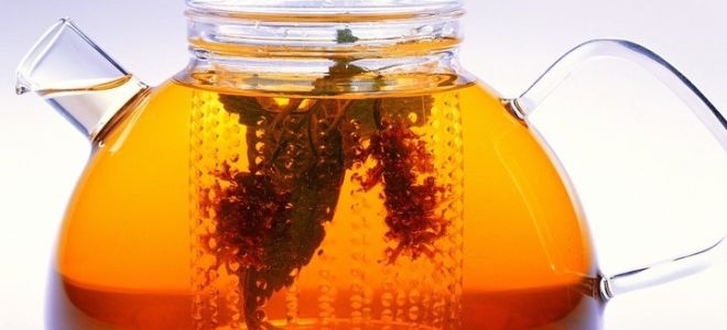 Как да се вари и пие корен от шипка: рецепти, прегледи на лекарите