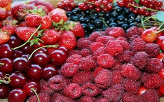 Какви храни съдържат кобалт: списък, таблица