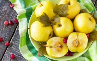 Защо накиснатите ябълки са полезни, как да ги приготвите за зимата