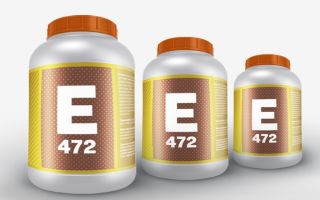 Хранителна добавка E472e: опасно или не, ефект върху организма