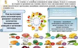 Най-добрите мултивитамини за деца с микроелементи: отзиви